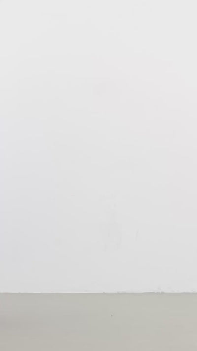 LAURIE Donna Loose Shorts Loose 44000 Blue